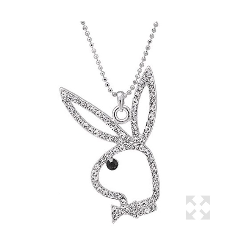 Spinning Daisy sliver plated necklace